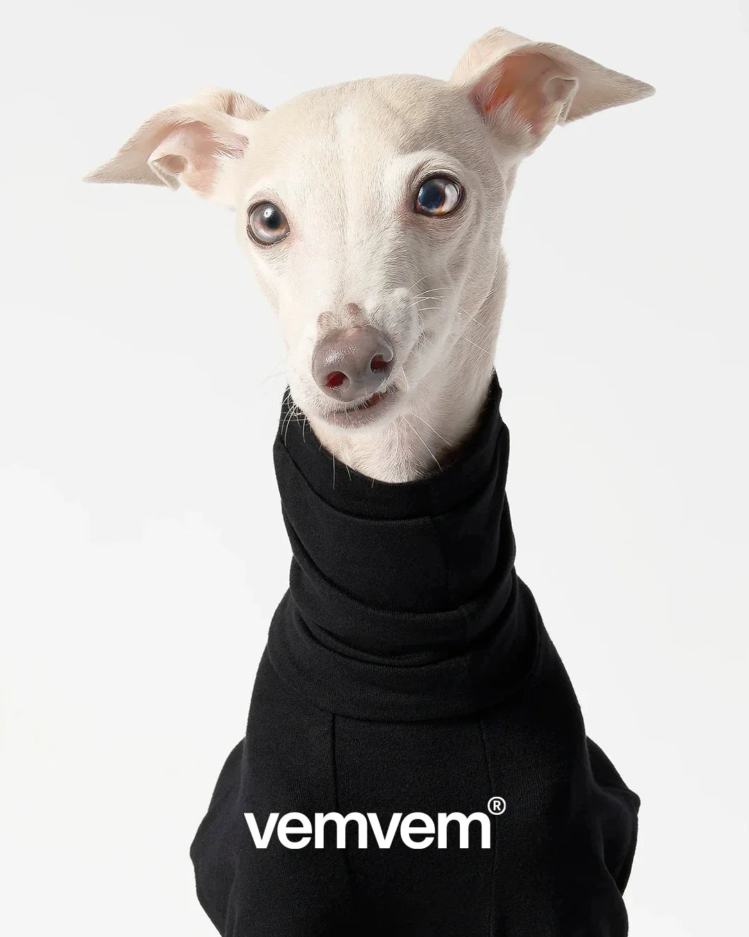 vemvem