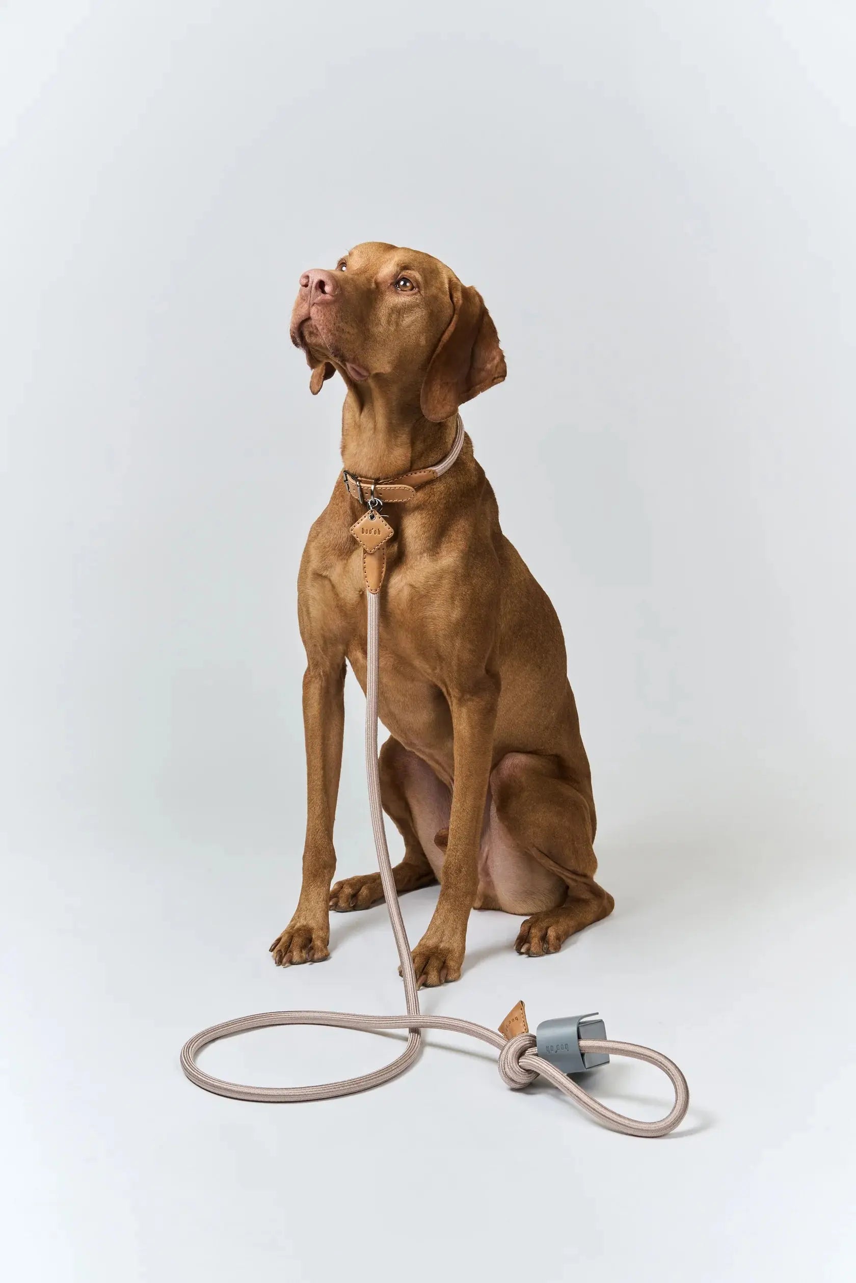 犬用ハーネス / Ray Harness / Boo Oh – nuun tokyo 犬用ハーネス / Ray Harness / Boo Oh – nuun tokyo