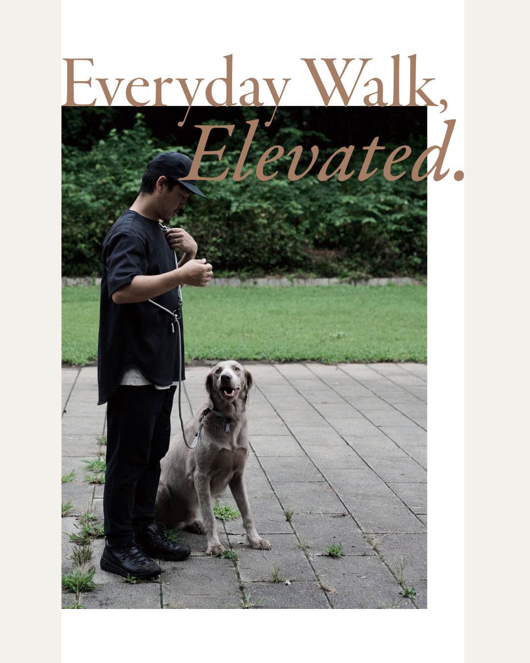 Everday Walk, Elevated.