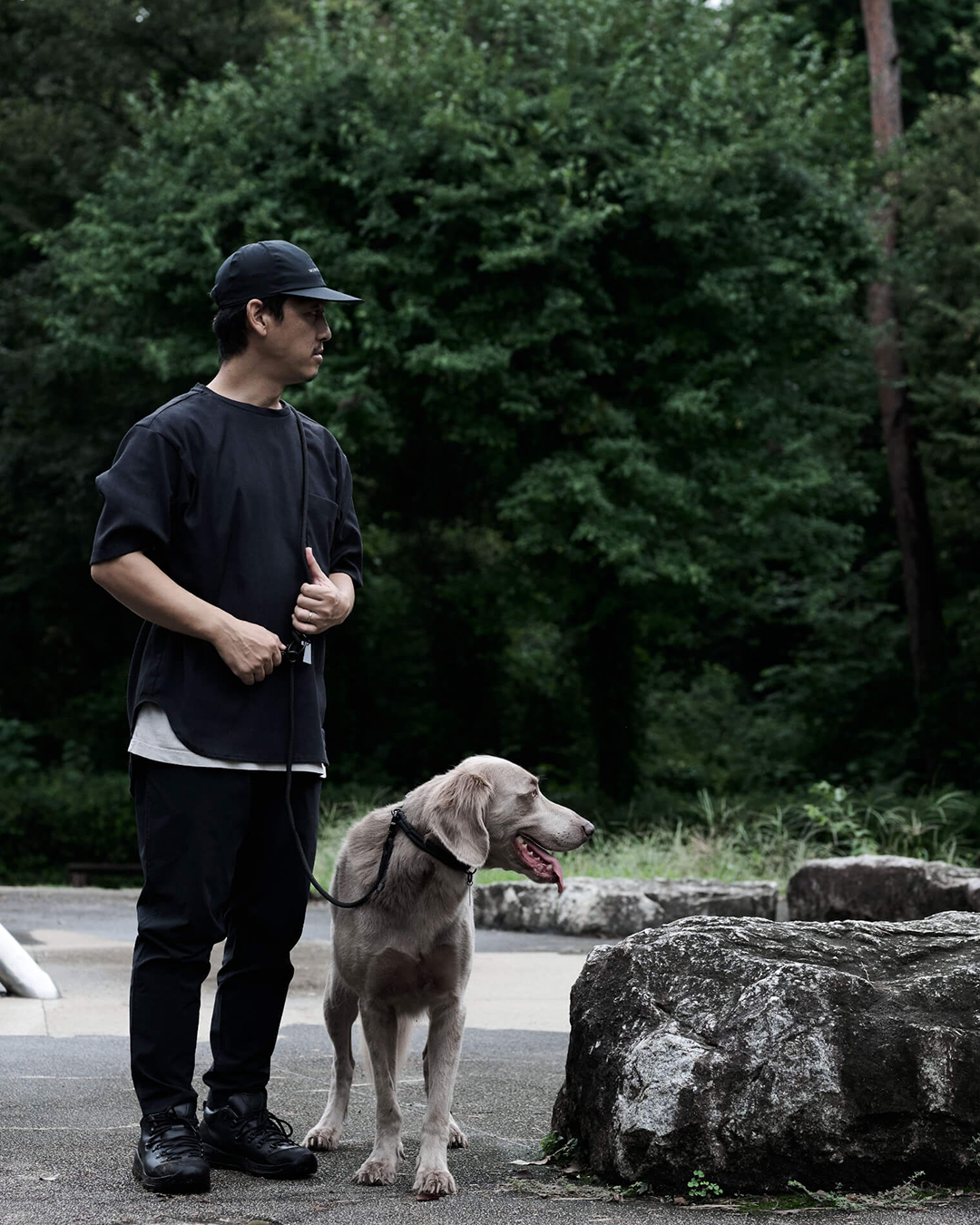 Walk