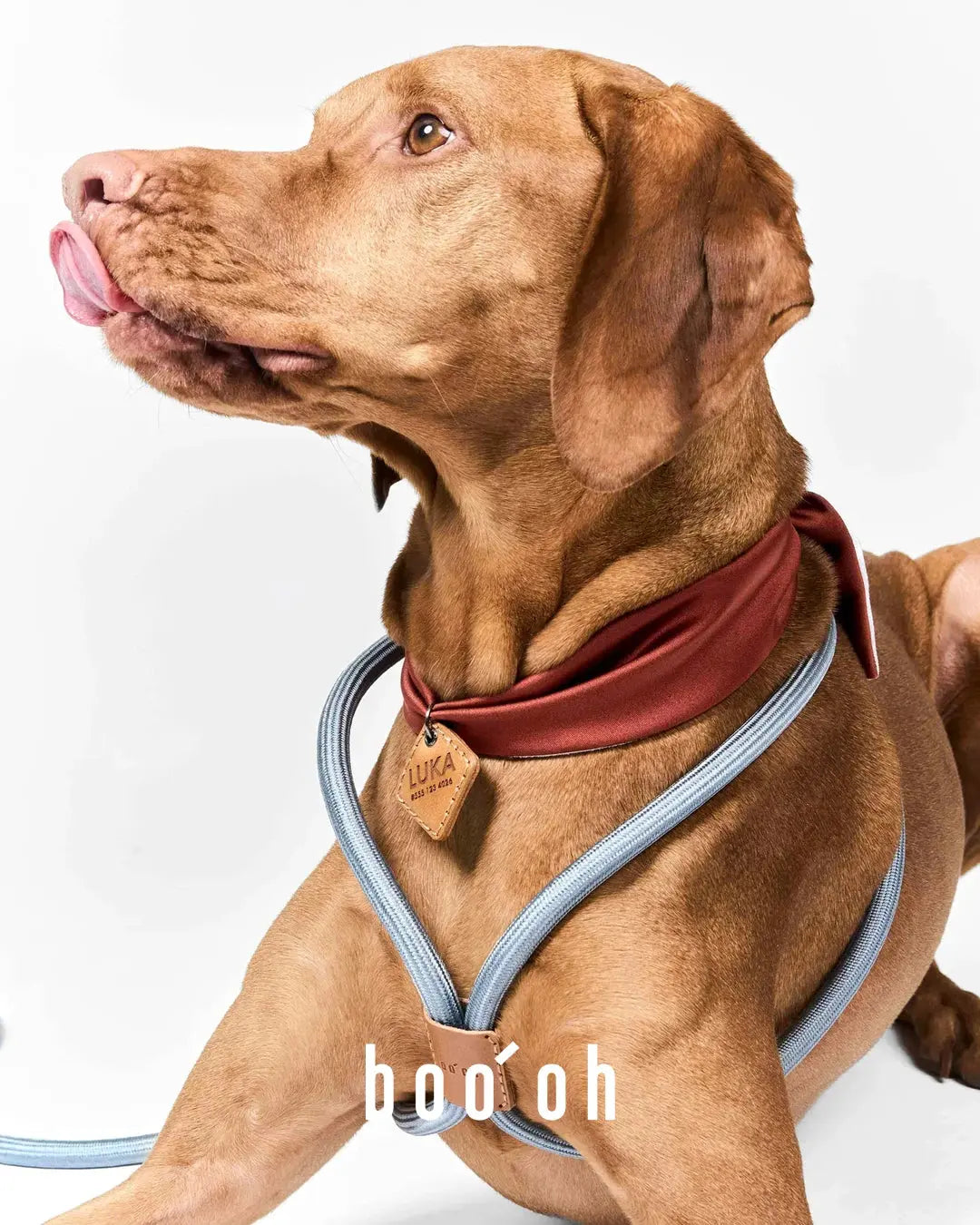 Boo-Oh nuun tokyo