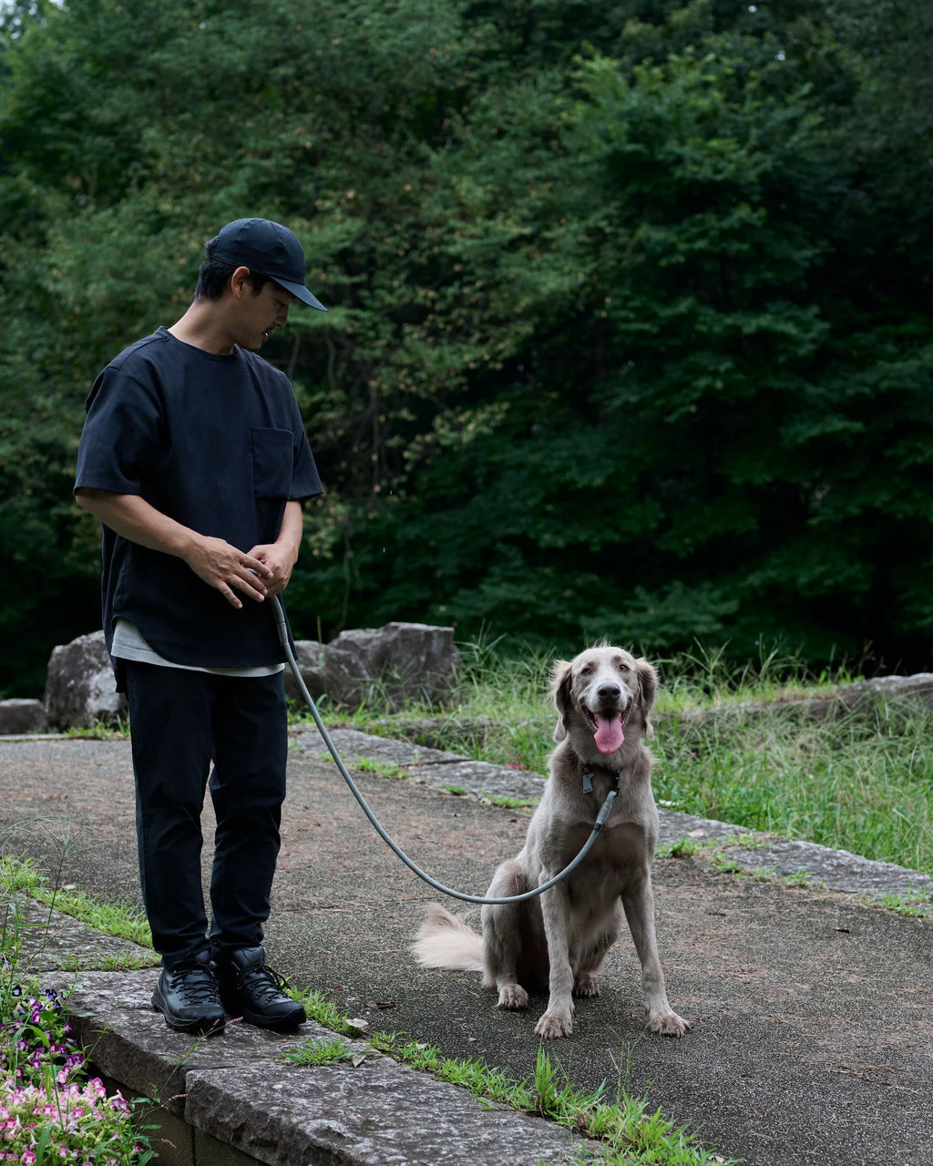 THE LEASH