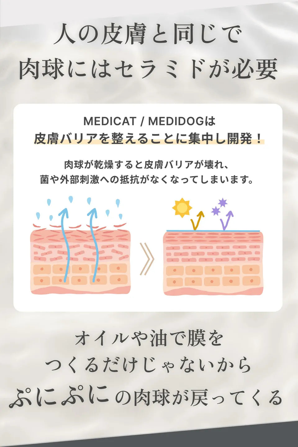 MEDICAT/MEDIDOG 肉球クリーム PAW CREAM