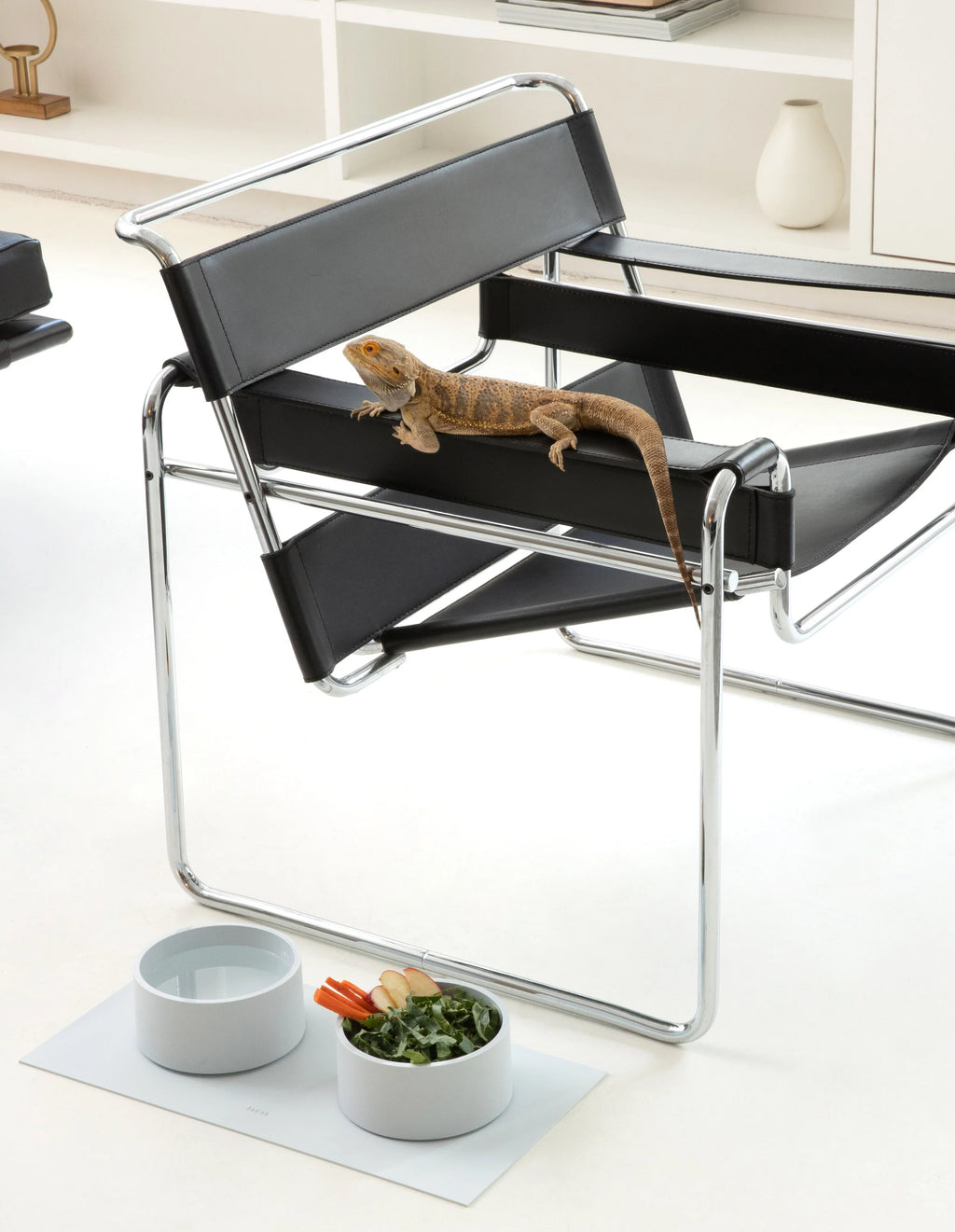 Mogo Bowl