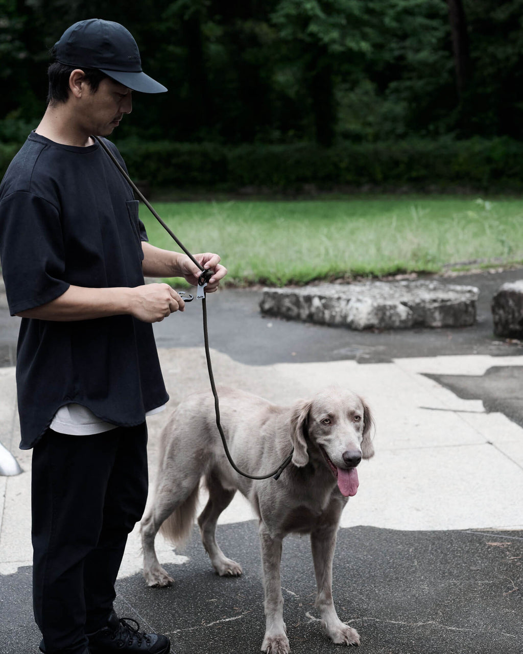 THE SHOULDER LEASH