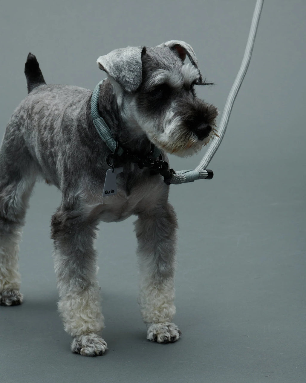THE LEASH