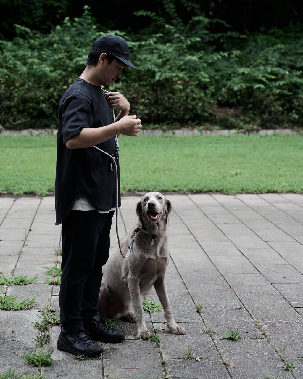 THE SHOULDER LEASH