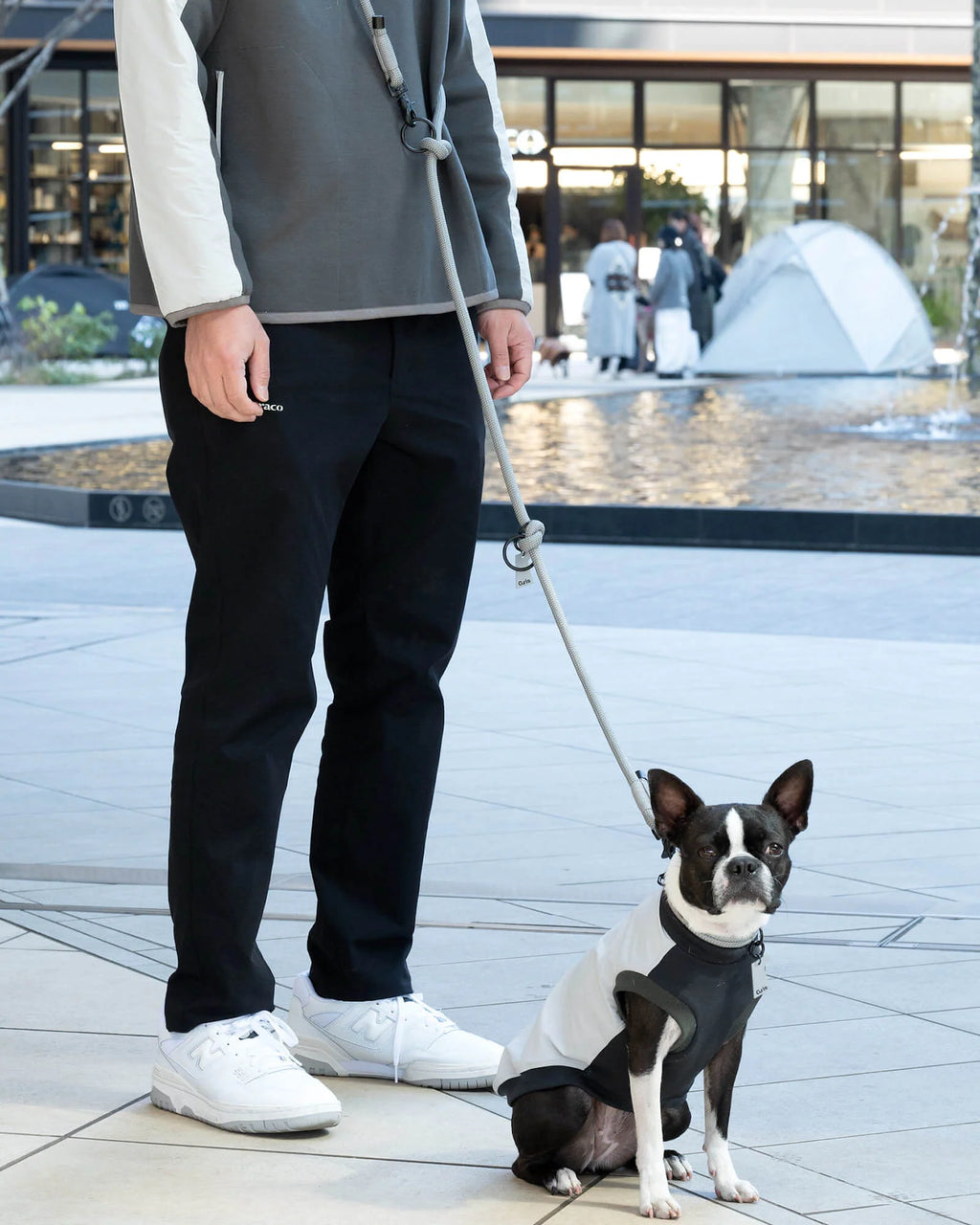 THE SHOULDER LEASH