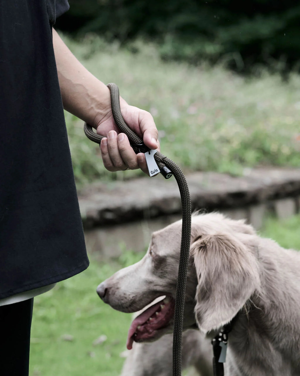 THE LEASH