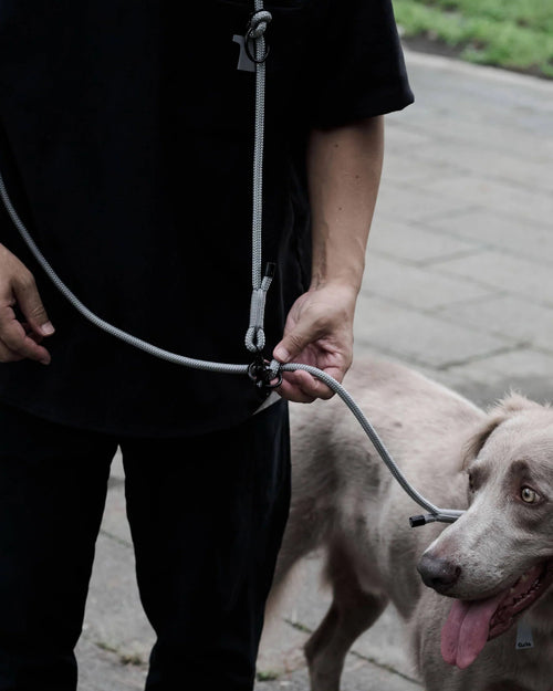 THE SHOULDER LEASH Gris