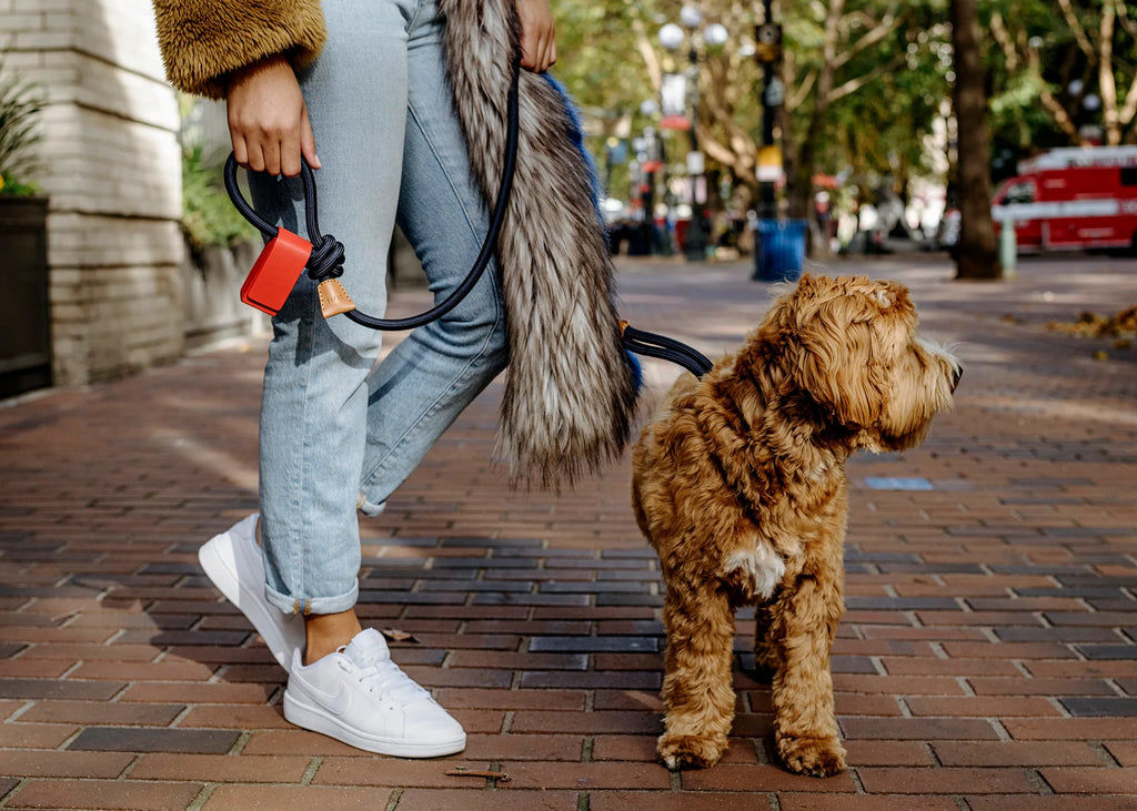 Toto Bag