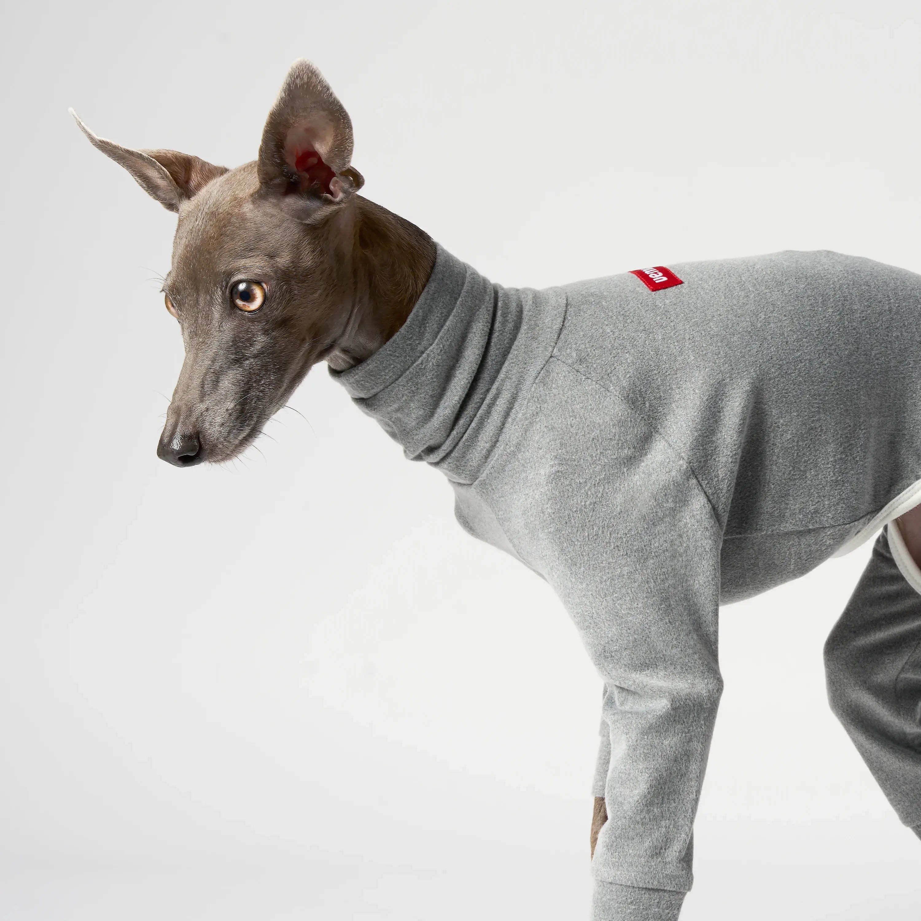 vemvem ヴェムヴェム オールインワン冬用 バレエ：スリムヒート/グレイ イタリアングレーハウンド イタグレ ウィペット 犬 服 vemvem ヴェムヴェムオールインワン冬用 バレエ：スリム