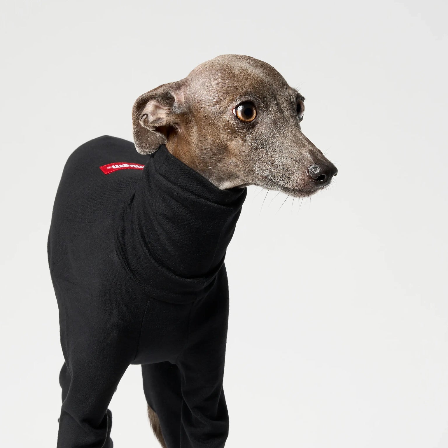 BALLET - SLIMHEAT CLASSIC