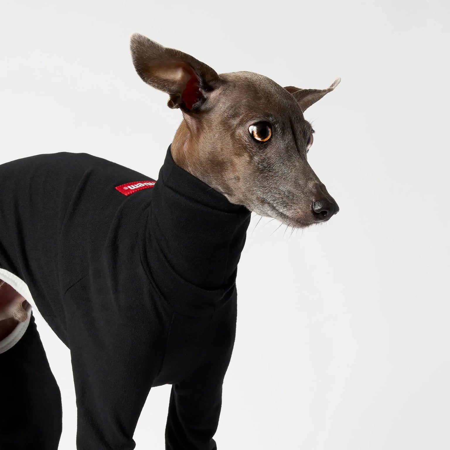 BALLET - SLIMHEAT CLASSIC