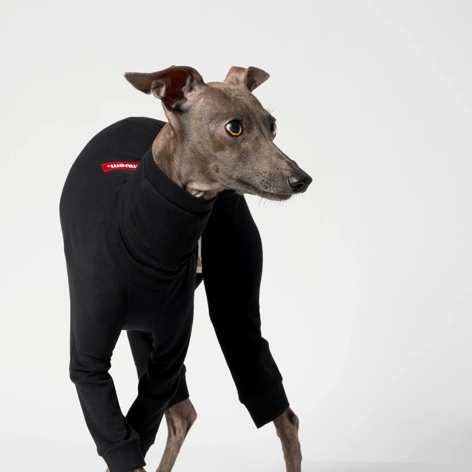 BALLET - SLIMHEAT CLASSIC