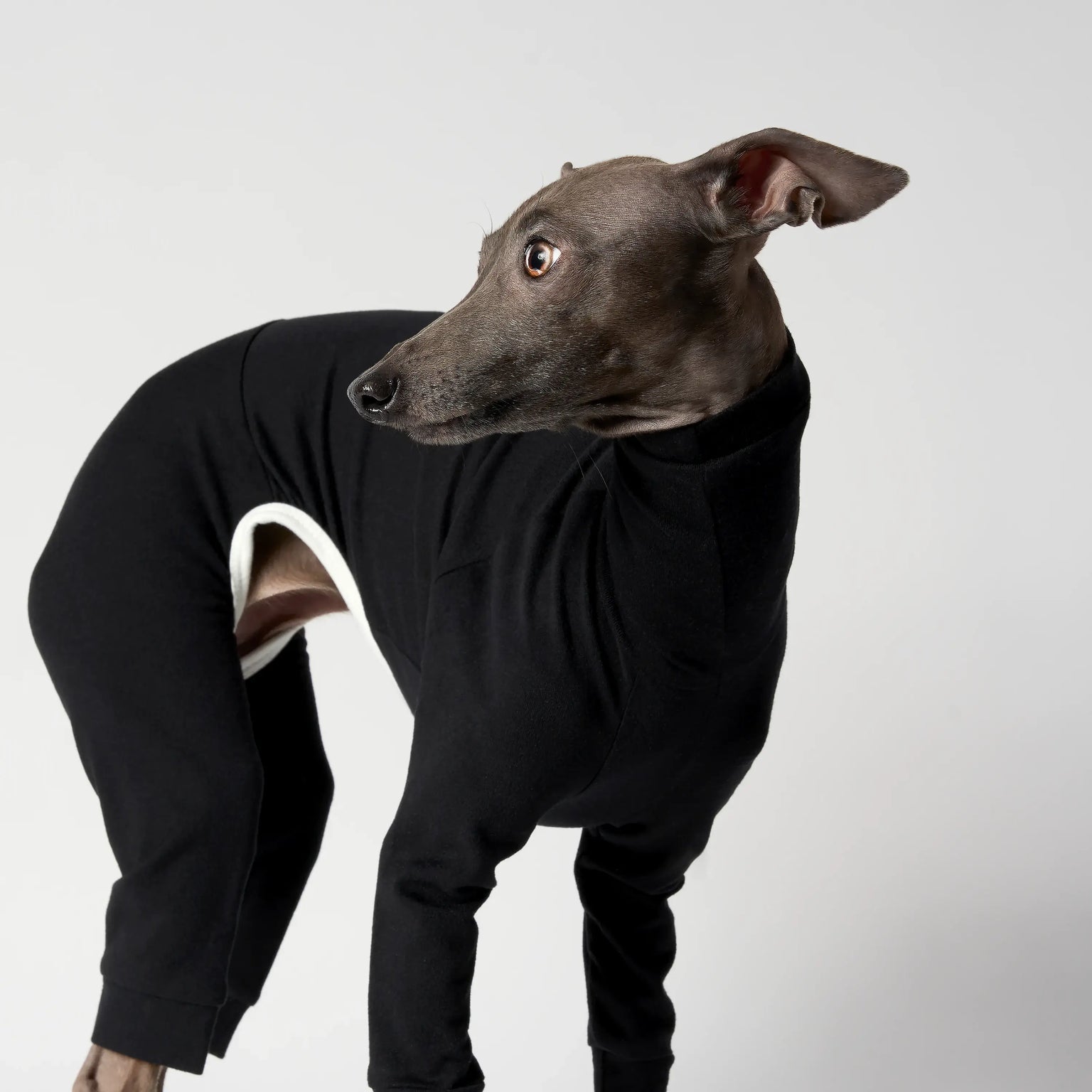 BALLET - SLIMHEAT CLASSIC