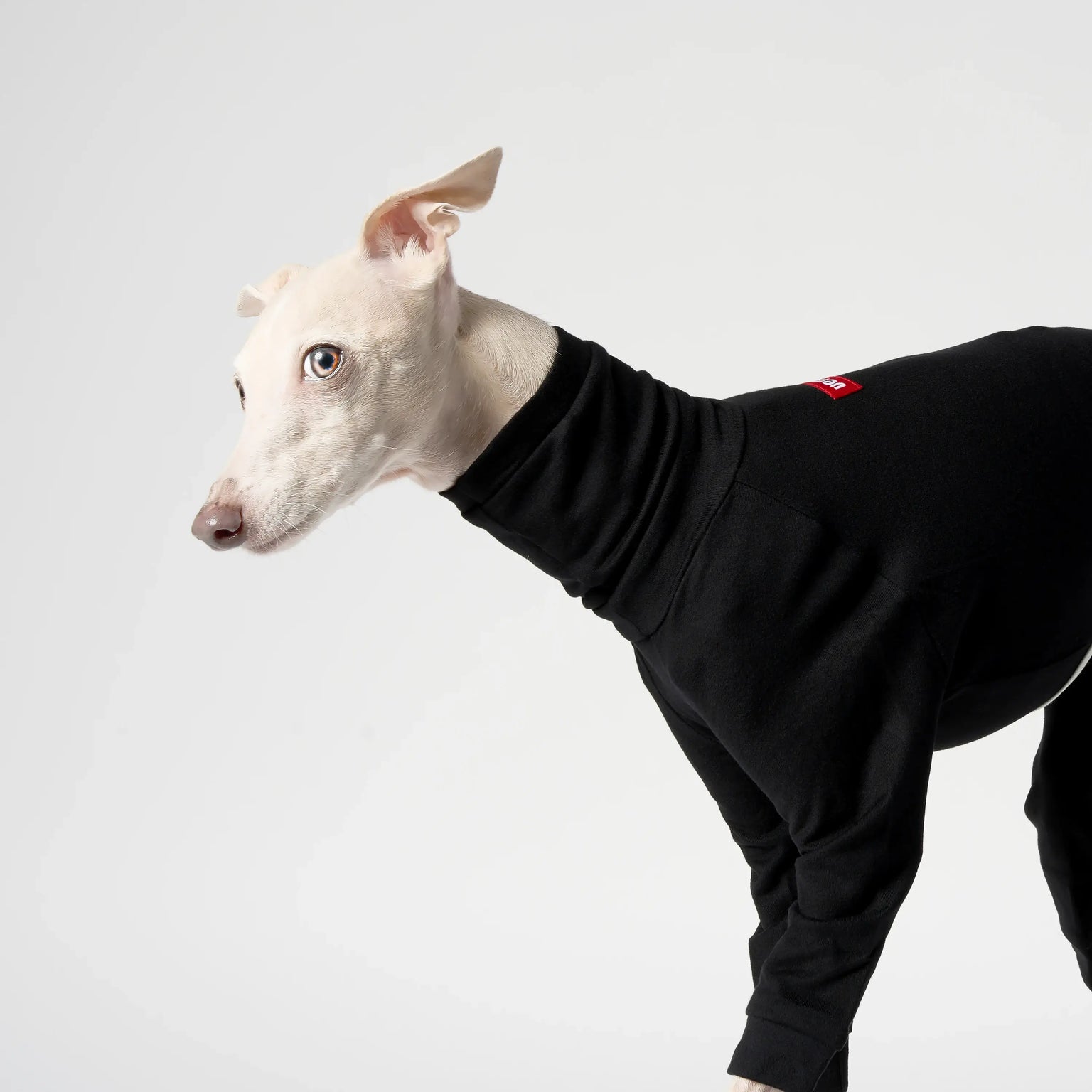 BALLET - SLIMHEAT CLASSIC