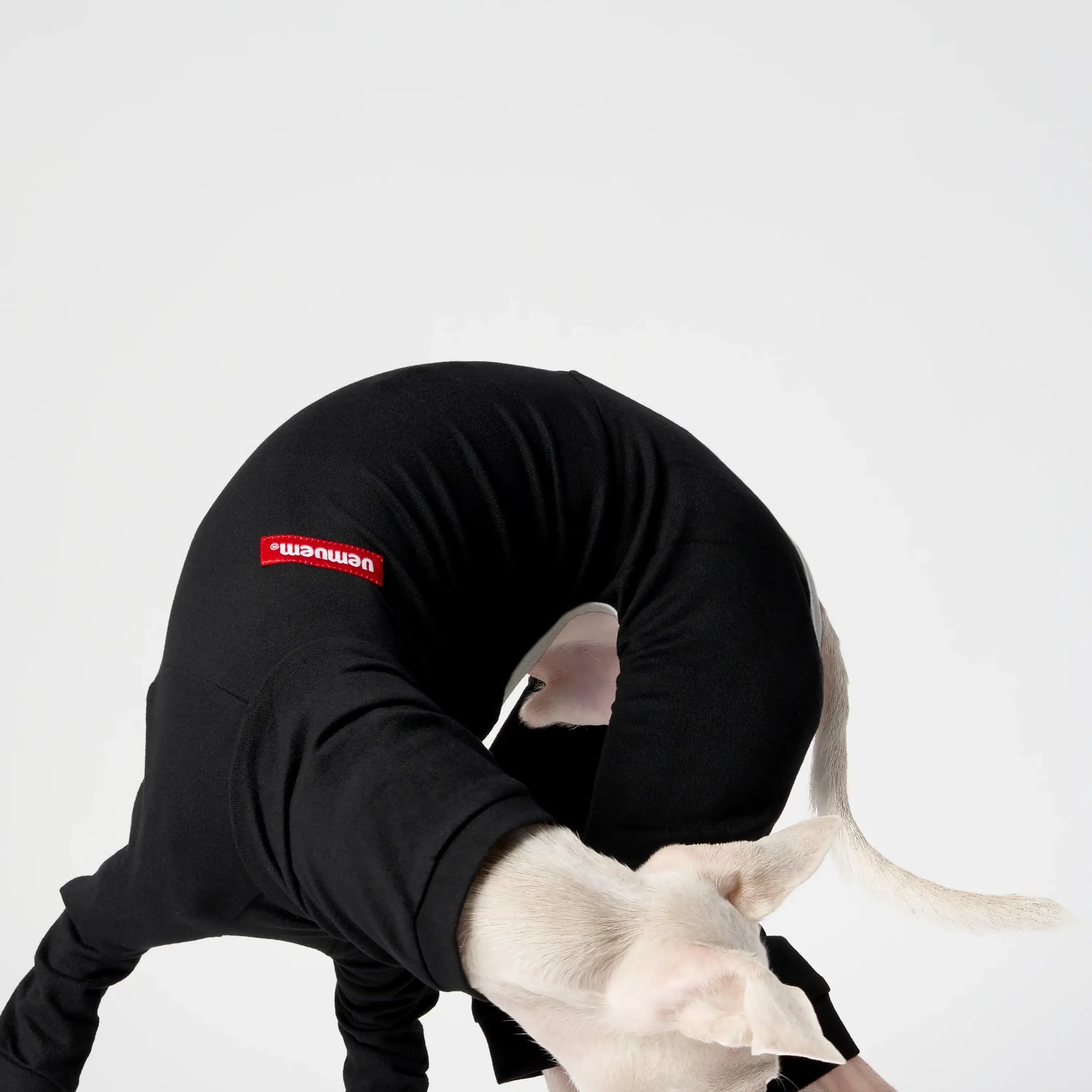 BALLET - SLIMHEAT CLASSIC