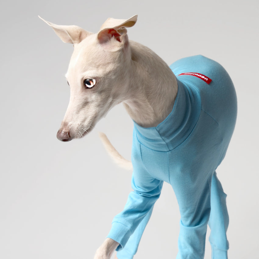 犬服・ドッグウェア・リード・ハーネス・ペット用品セレクトショップ