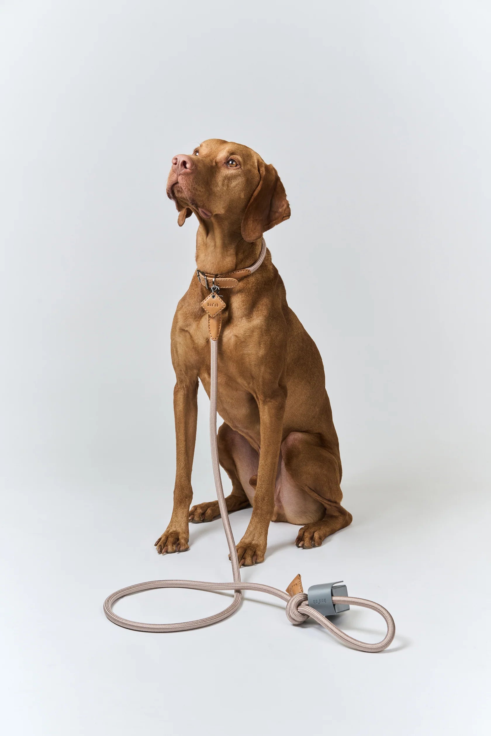 Ray Harness / Boo Oh / 犬 ハーネス 一体型 おしゃれ / nuun tokyo