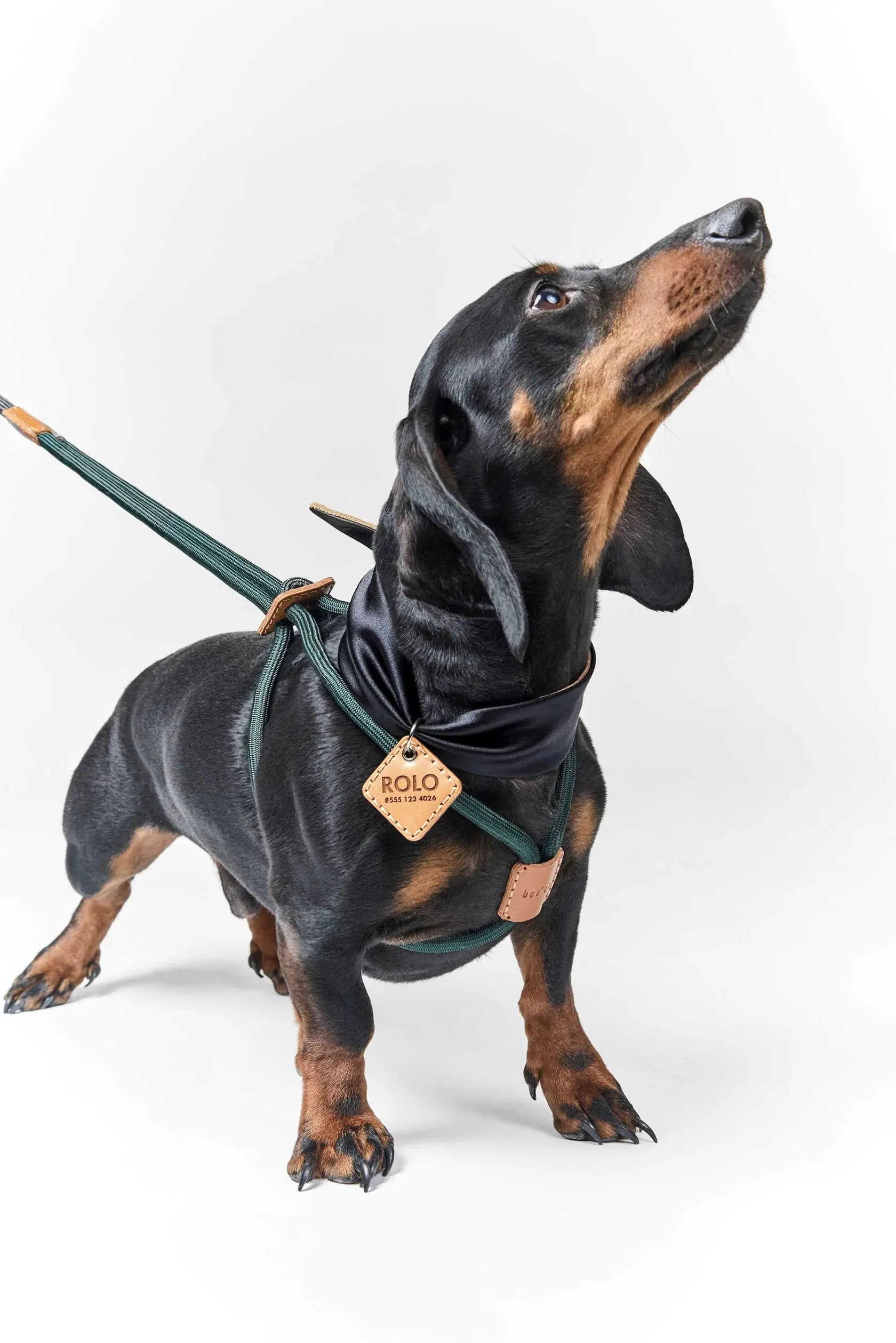 犬用ハーネス / Ray Harness / Boo Oh – nuun tokyo 犬用ハーネス / Ray Harness / Boo Oh – nuun tokyo