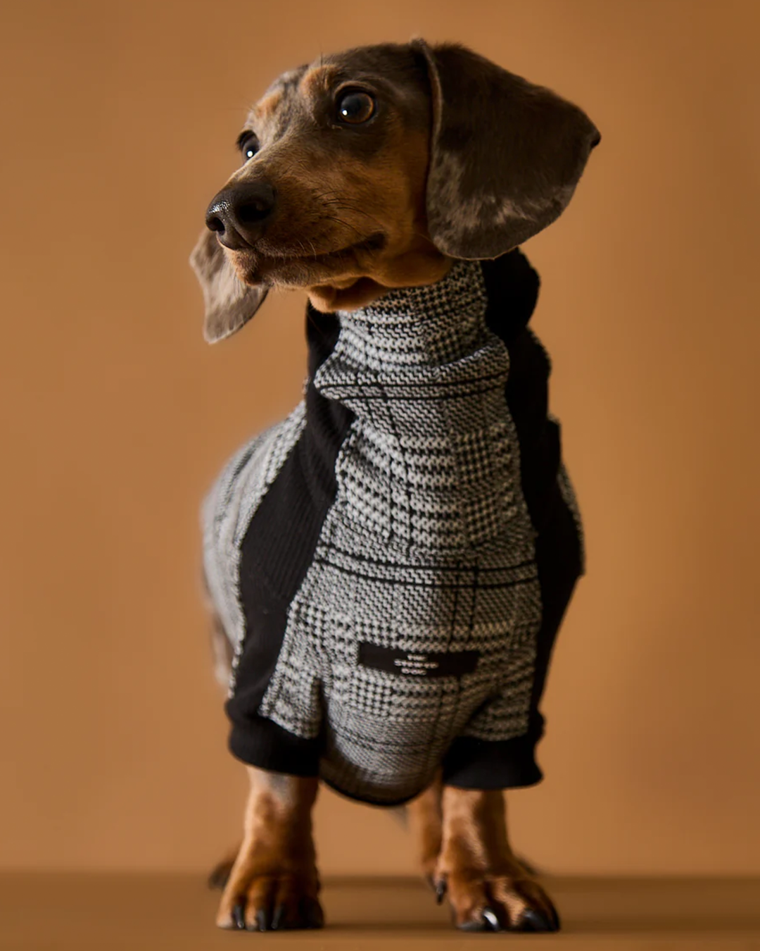 Dachshund Plaid Black and White Jaqcuard Turtleneck Sweater YVES