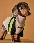 Dachshund Turtleneck Sweater BELLE THE STRIPED DOG