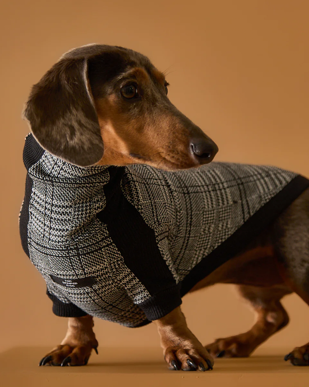 Dachshund Plaid Black and White Jaqcuard Turtleneck Sweater YVES