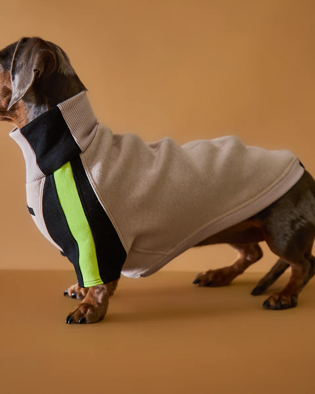 Dachshund Turtleneck Sweater BELLE