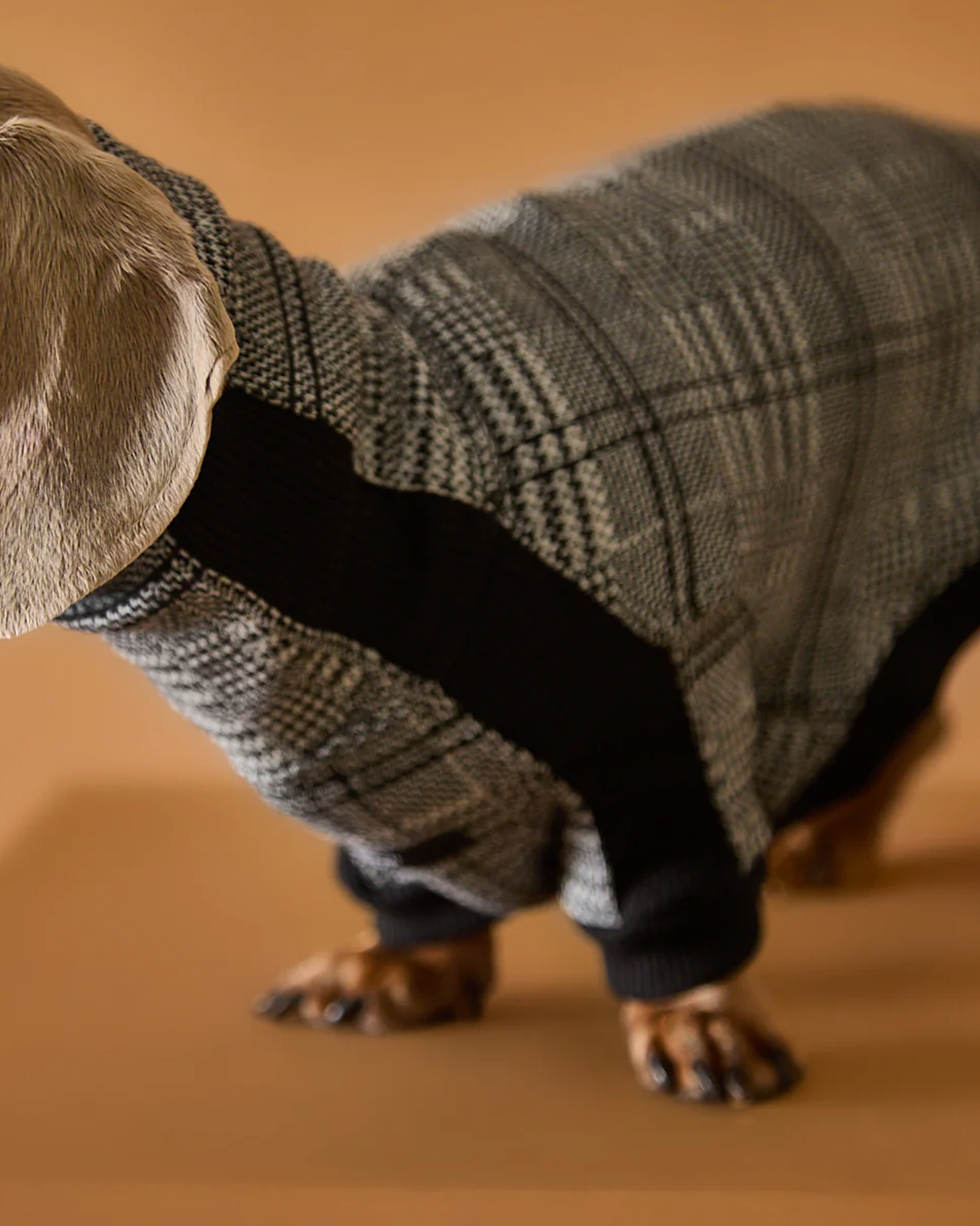 Dachshund Plaid Black and White Jaqcuard Turtleneck Sweater YVES