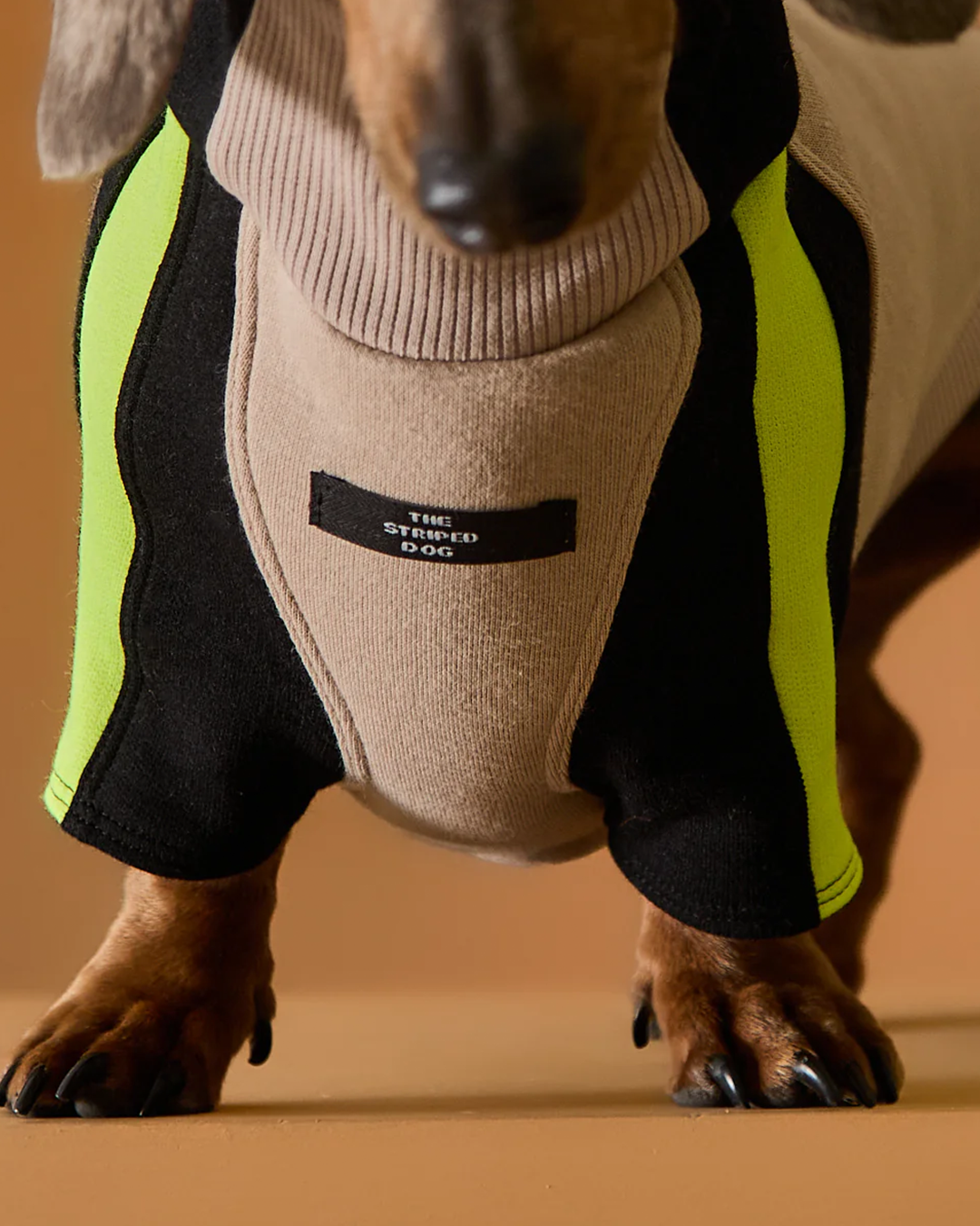 Dachshund Turtleneck Sweater BELLE