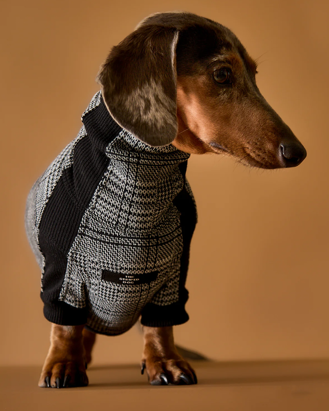 Dachshund Plaid Black and White Jaqcuard Turtleneck Sweater YVES