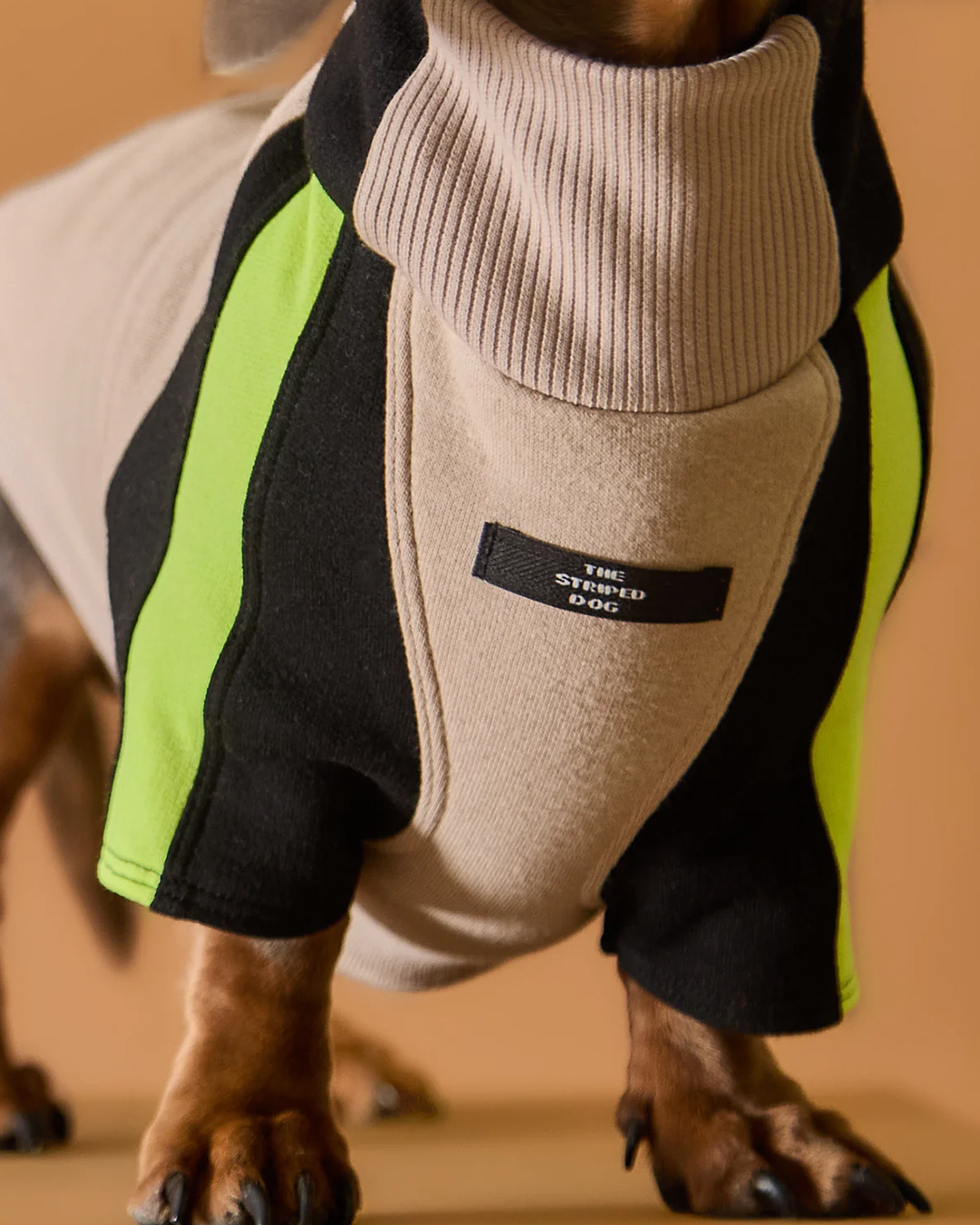 Dachshund Turtleneck Sweater BELLE