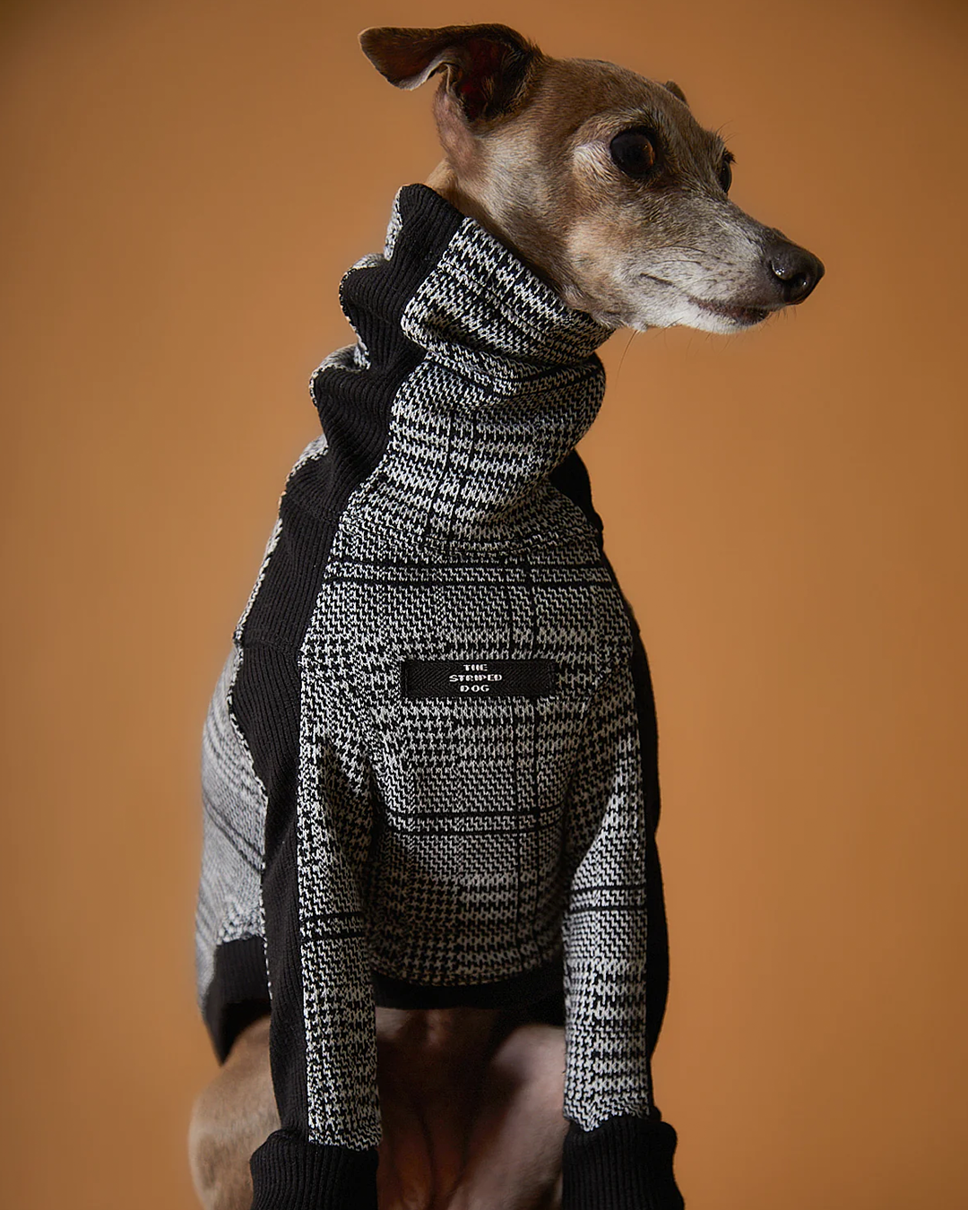 Italian Greyhound & Whippet Plaid Black and White Jaqcuard Turtleneck Sweater YVES