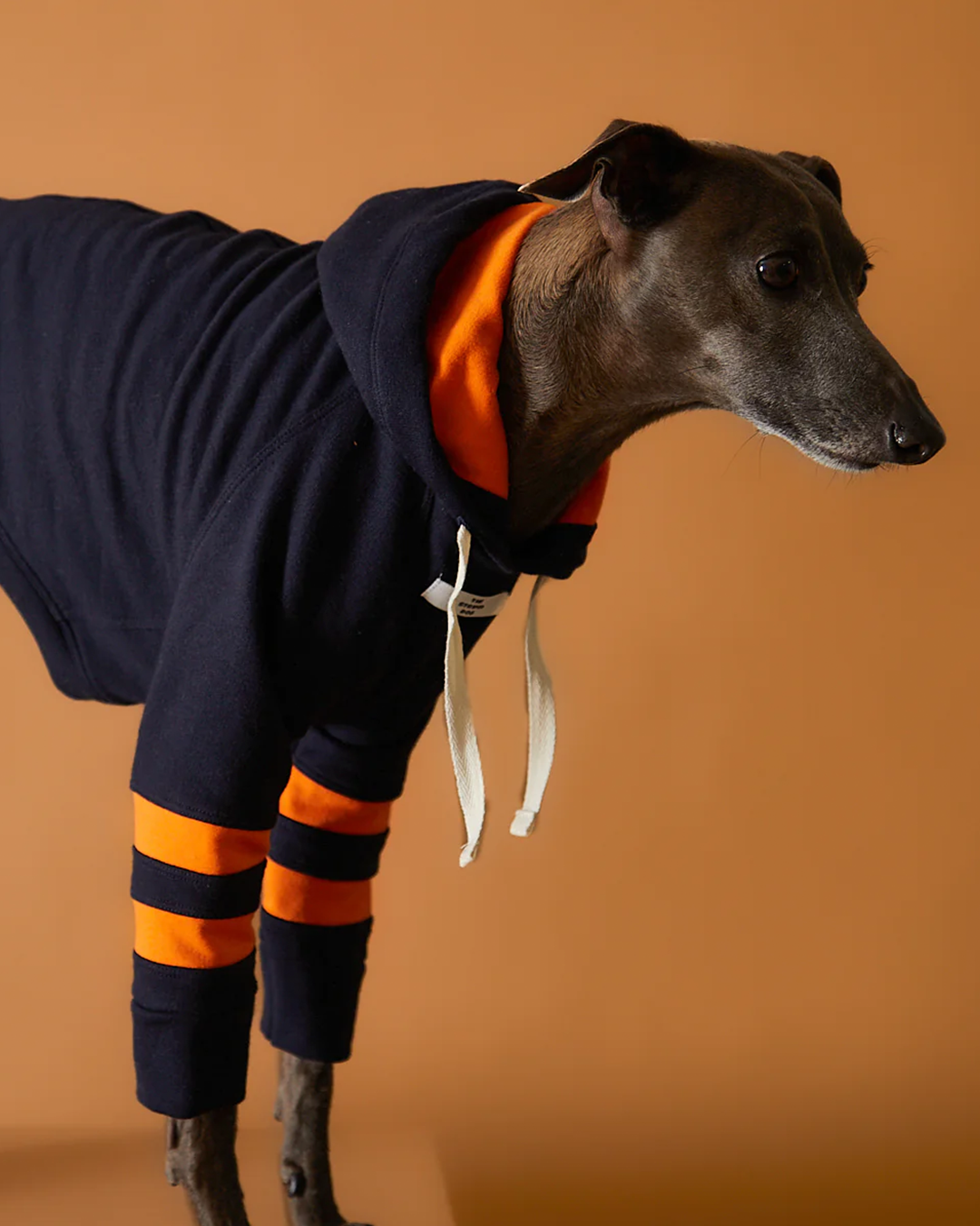 Italian Greyhound & Whippet Dark Blue Hoodie BRIE