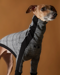 Italian Greyhound & Whippet Plaid Black and White Jaqcuard Turtleneck Sweater YVES