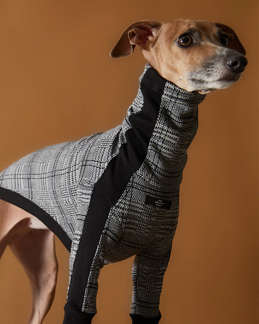 Italian Greyhound & Whippet Plaid Black and White Jaqcuard Turtleneck Sweater YVES