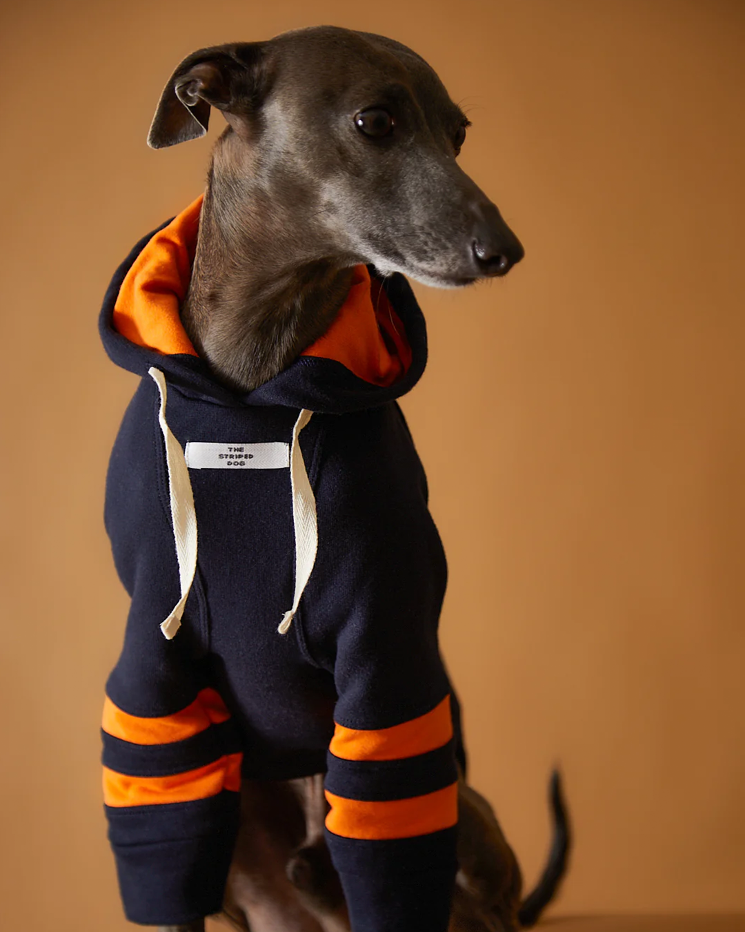 Italian Greyhound & Whippet Dark Blue Hoodie BRIE