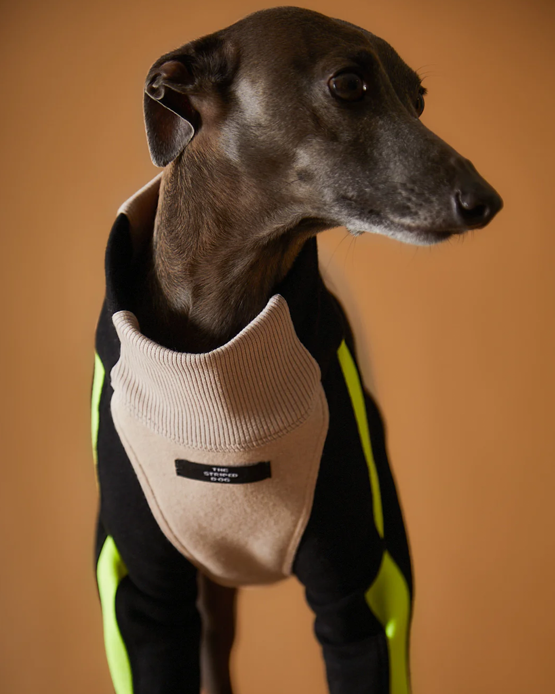 Italian Greyhound & Whippet Turtleneck Sweater BELLE