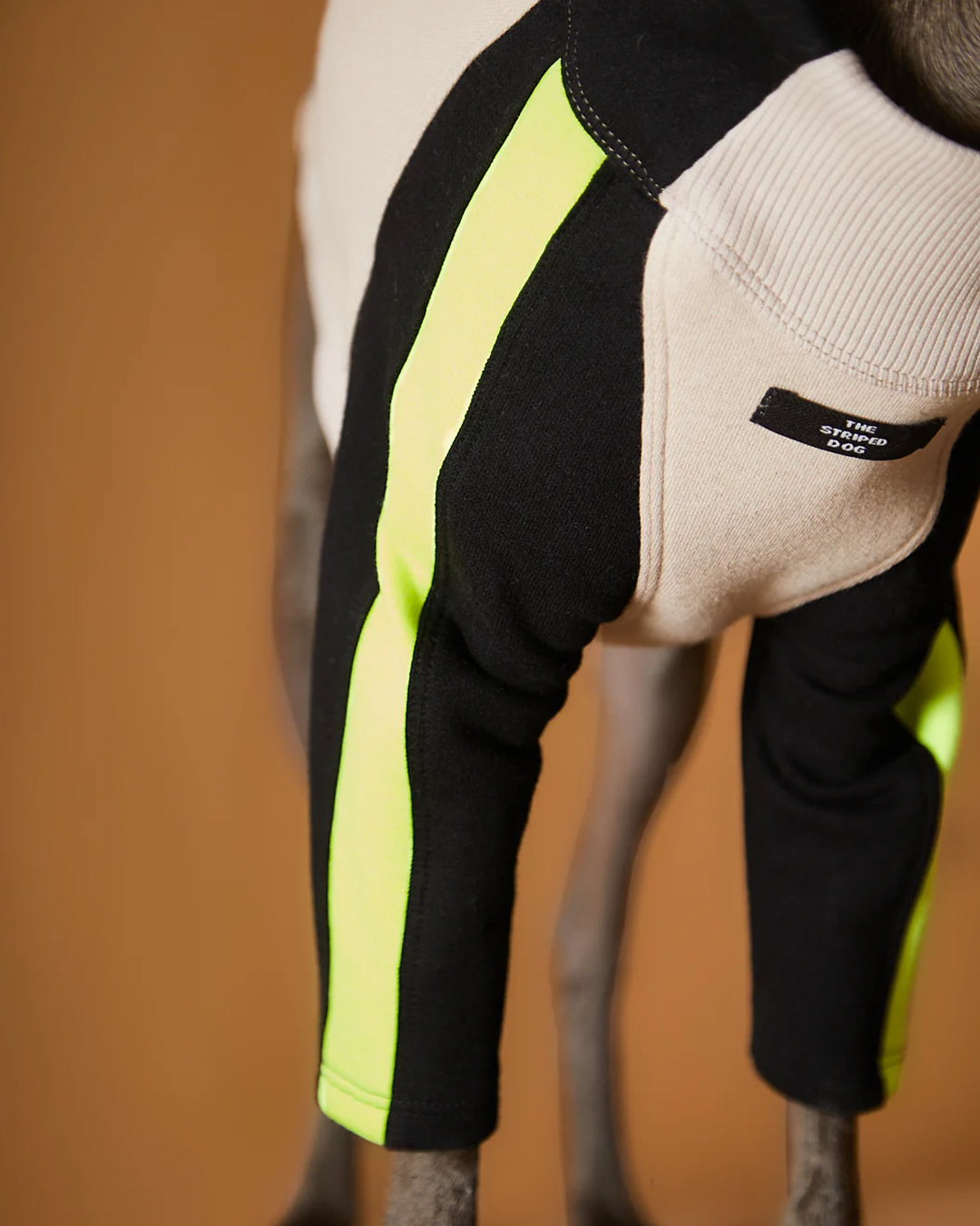 Italian Greyhound & Whippet Turtleneck Sweater BELLE