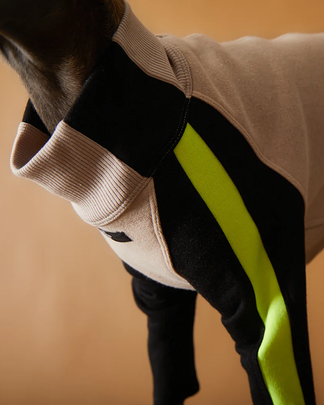 Italian Greyhound & Whippet Turtleneck Sweater BELLE