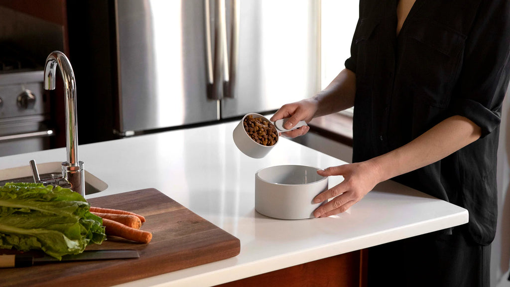 Mogo Bowl