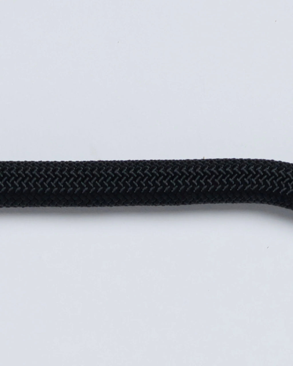 THE LEASH