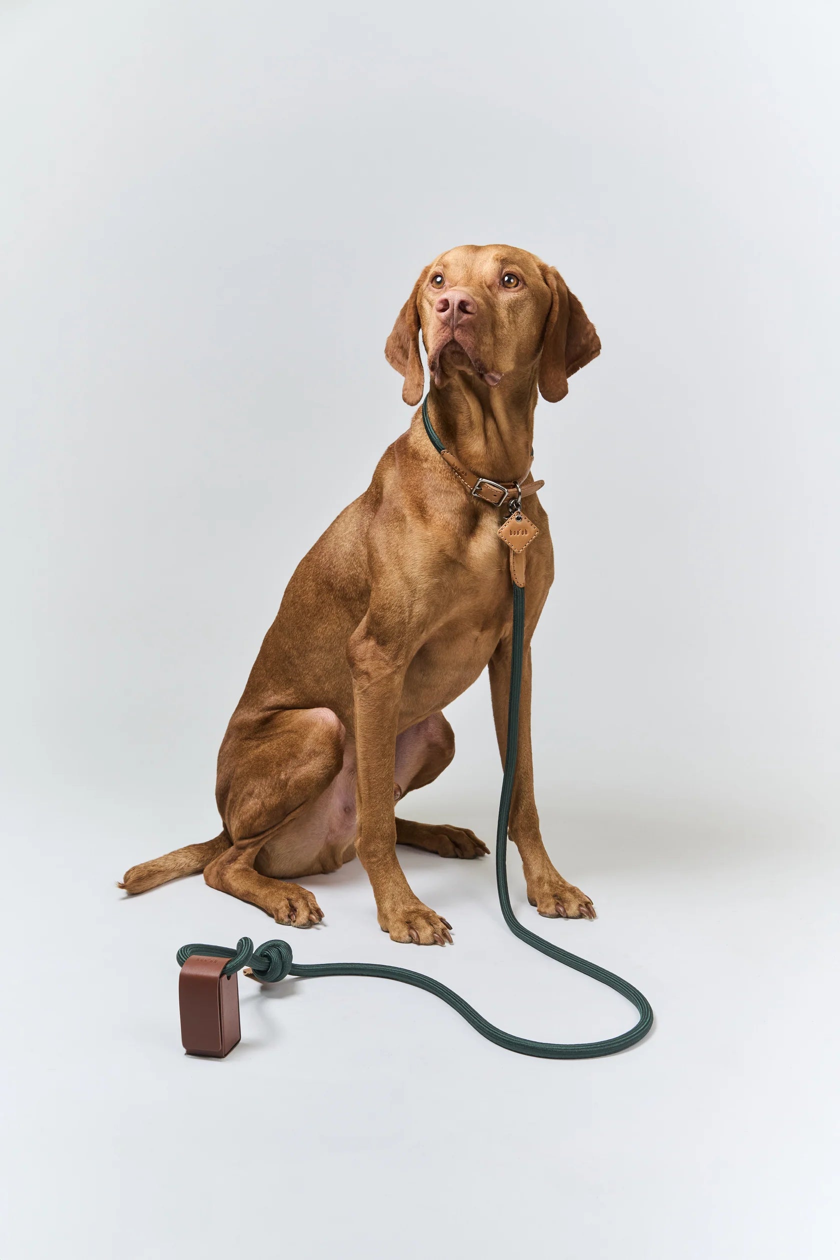 Ray Harness / Boo Oh / 犬 ハーネス 一体型 おしゃれ / nuun tokyo