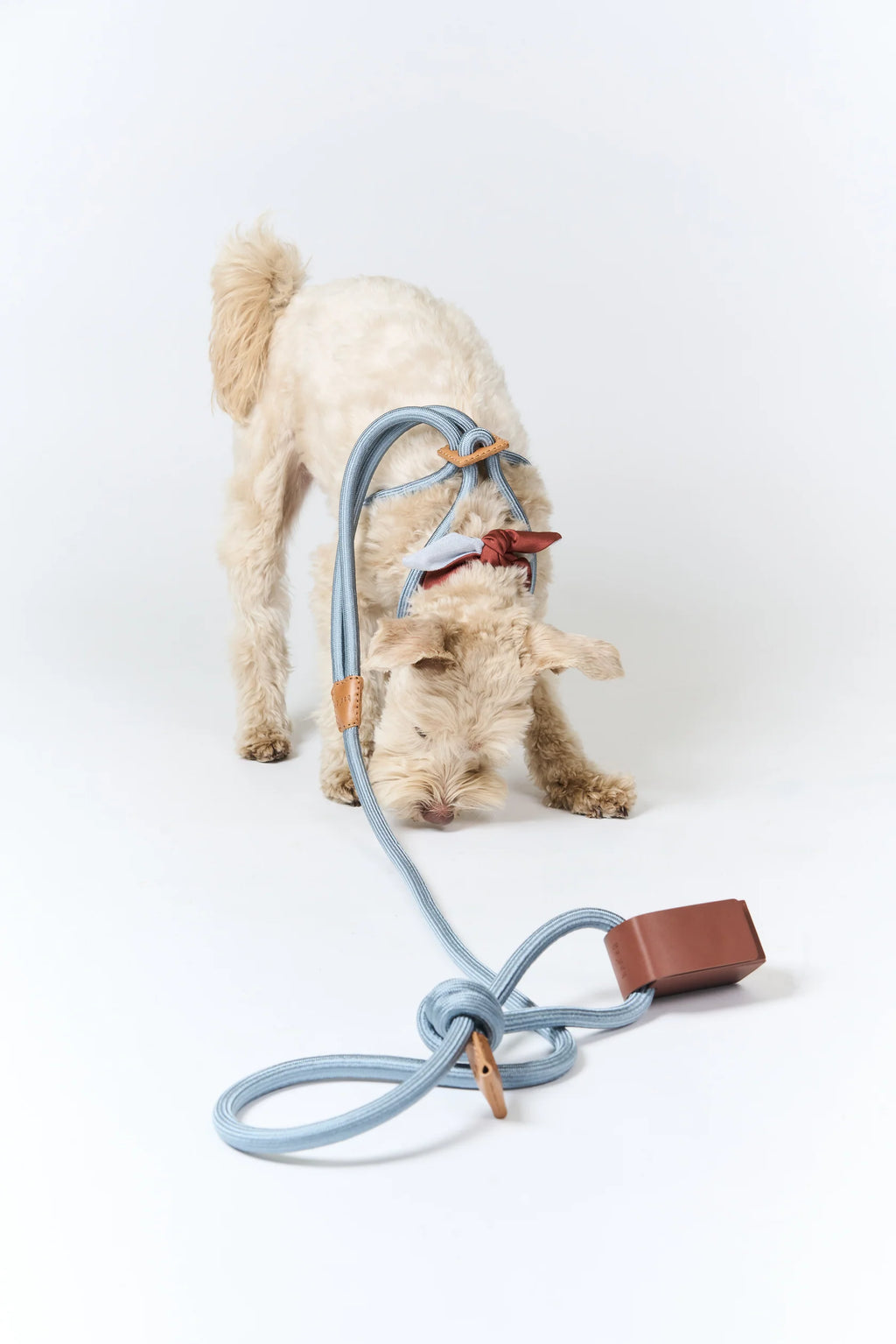Toto Bag