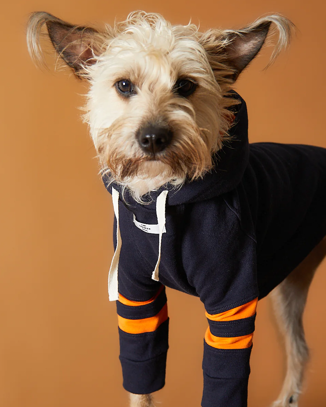 Dark Blue Hoodie BRIE