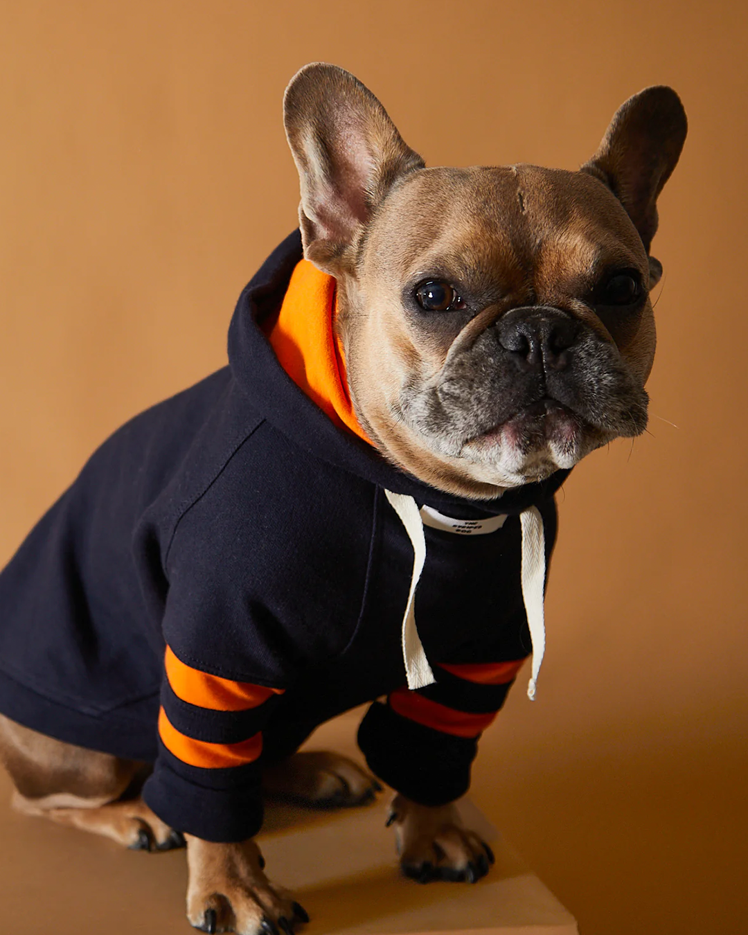 Dark Blue Hoodie BRIE