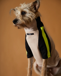 Turtleneck Sweater BELLE THE STRIPED DOG