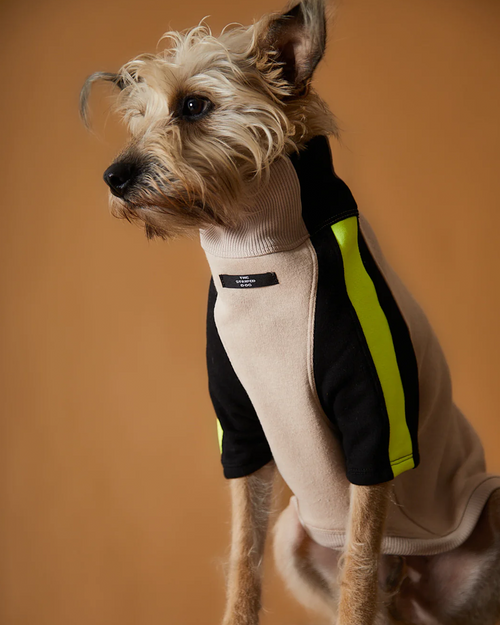 Turtleneck Sweater BELLE THE STRIPED DOG