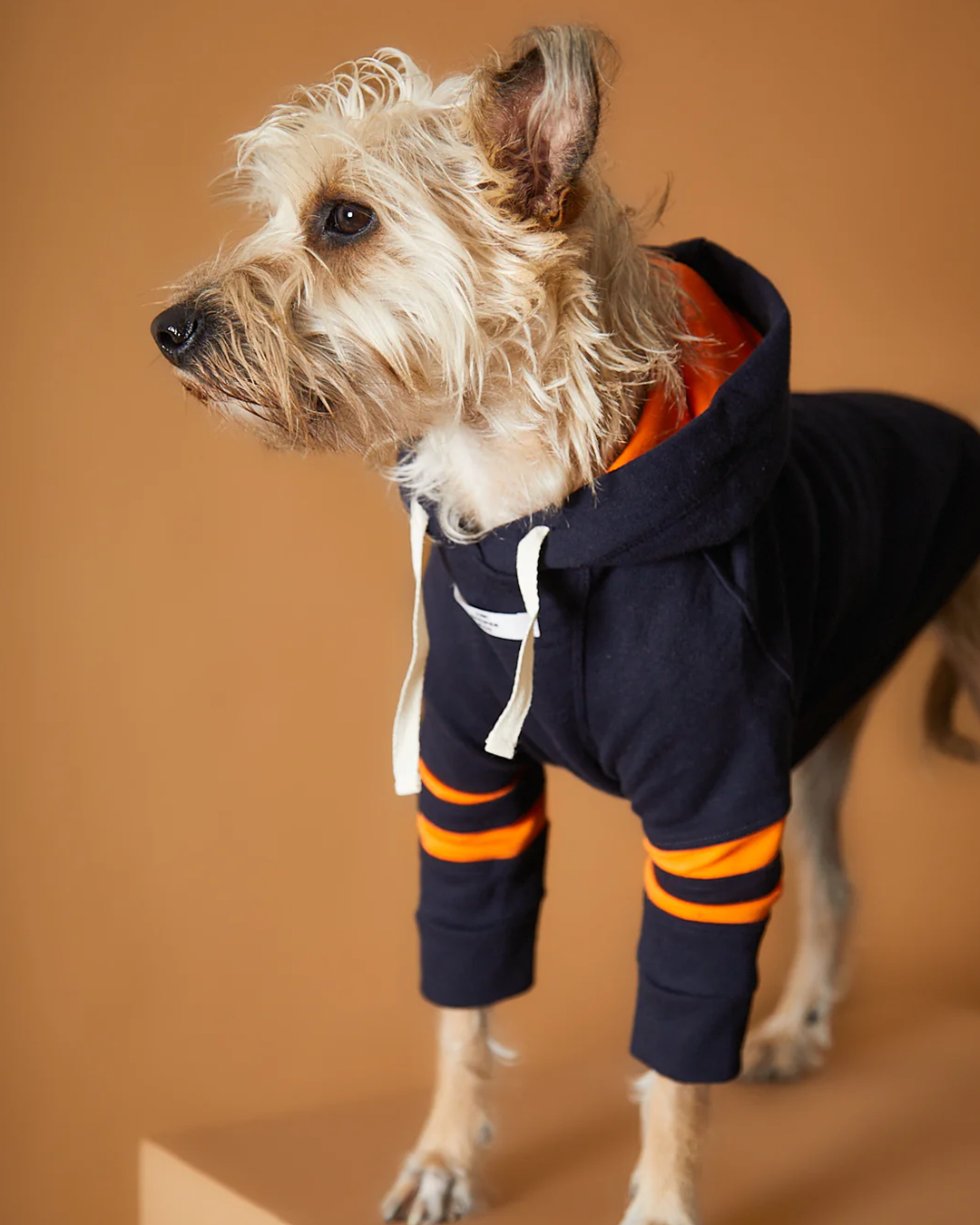 Dark Blue Hoodie BRIE